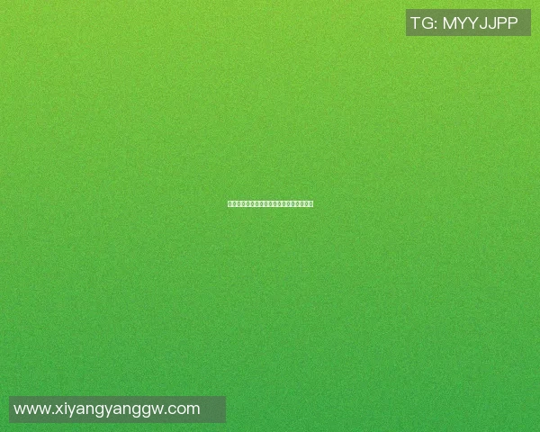 哨牙仔足球明星的成长之路与辉煌成就揭秘