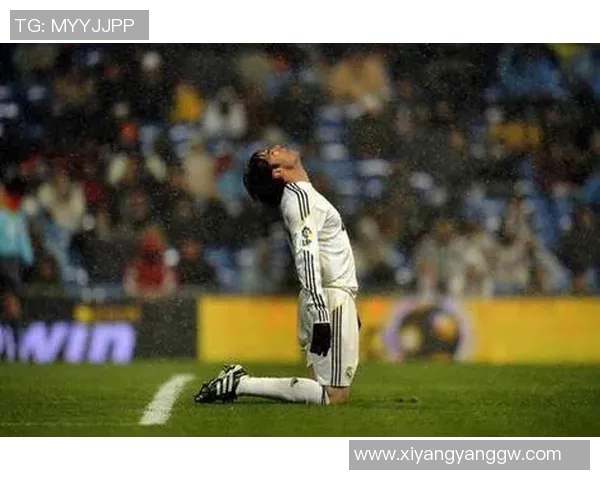 巴西足球明星们的传奇人生与辉煌成就背后的奋斗故事