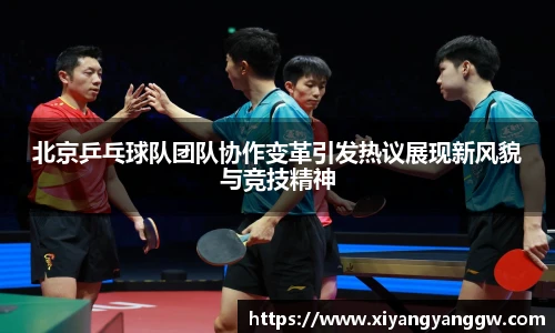 北京乒乓球队团队协作变革引发热议展现新风貌与竞技精神