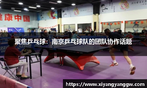 聚焦乒乓球：南京乒乓球队的团队协作话题